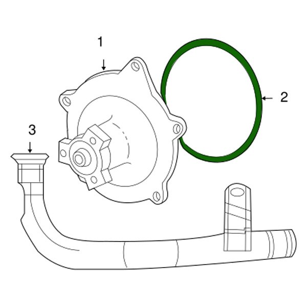 Engine Water Pump Seal