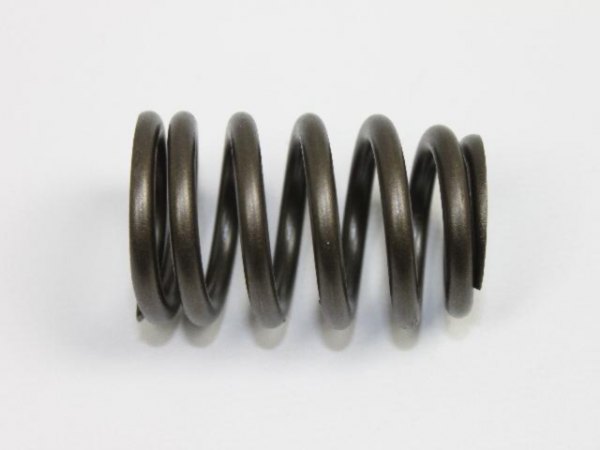 Mopar® - Engine Valve Spring