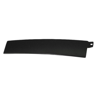 Mopar® - Rear Passenger Side Door Reveal Molding