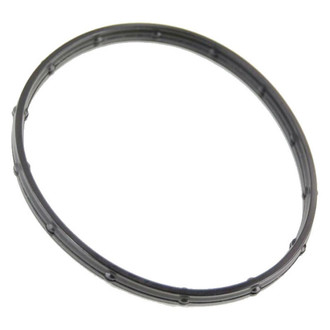 Mopar® - Water Pump Gasket