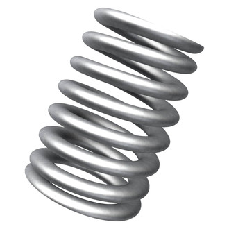 Mopar® - Valve Spring