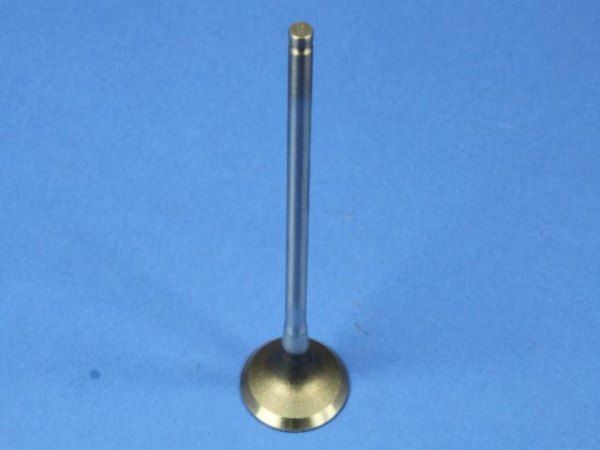 Mopar® - Engine Exhaust Valve