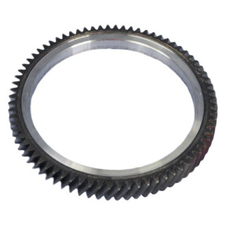 Mopar® 05066977AA - Clutch Flywheel Ring Gear