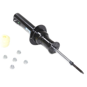 Mopar® - Front Driver or Passenger Side Strut