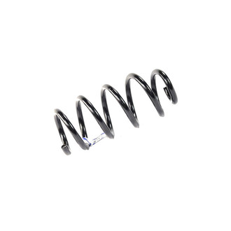 Mopar® - Front Coil Spring