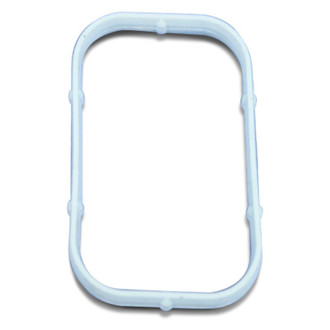 Mopar® - Intake Plenum Gasket