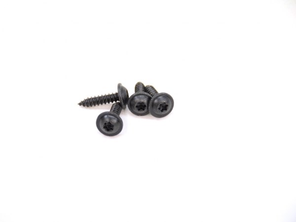 License Plate Light Assembly Screw