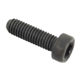 Mopar® - Door Lock Striker Plate Bolt
