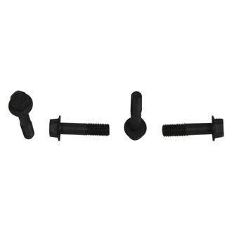 Mopar® 06508150AA - Hex Head Screw And Washer