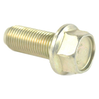 Mopar® - Rear Disc Brake Caliper Anchor Plate Bolt