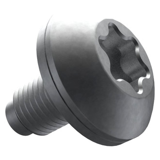 Mopar® - Door Lock Striker Plate Bolt