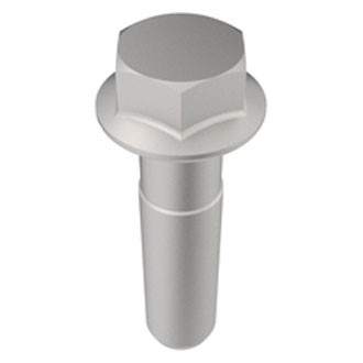 Fiat OE - Engine Crankshaft Pulley Bolt
