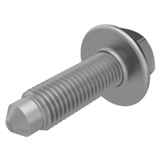 Mopar® - Front Inner Upper or Lower Door Hinge Bolt
