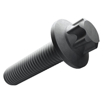 Mopar® - Disc Brake Caliper Anchor Plate Bolt