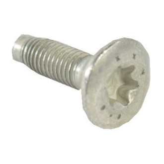 Jeep OE - Outer Door Hinge Bolt