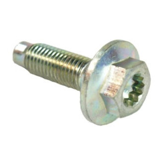 Mopar® - Door Hinge Bolt