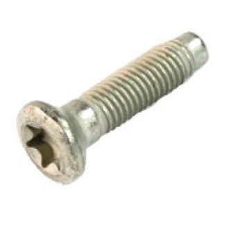 Jeep OE - Outer Tailgate Hinge Bolt