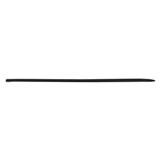 Mopar® - Front Door Molding