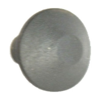 Ram OE - Door Interior Trim Panel Cap