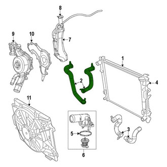 Mopar® - Engine Coolant Radiator Hose