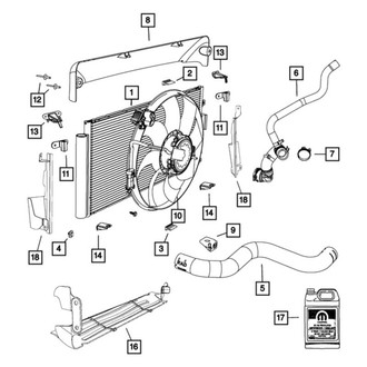 Fiat OE - Lower Radiator Coolant Hose