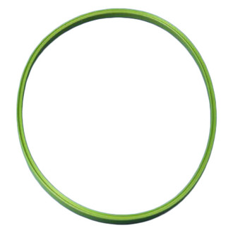 Chrysler OE - Fuel Pump Tank Seal