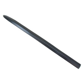 Dodge OE - Front Door Molding