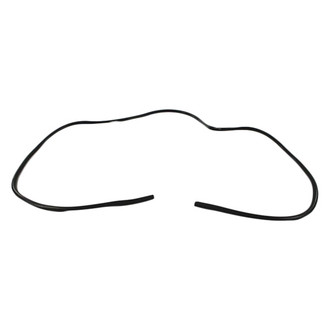 Mopar® - Windshield Molding