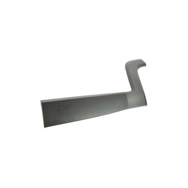 Mopar® - Rear Driver Side Door Molding