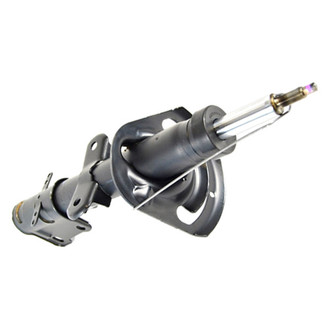 Mopar® - Front Driver or Passenger Side Strut