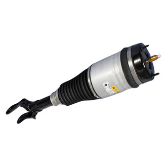 Mopar® - Air Suspension Strut