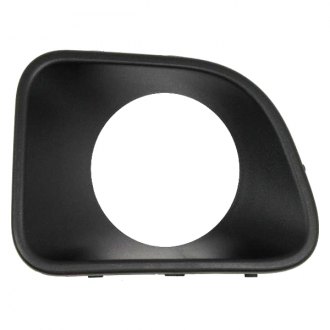 Mopar® - Grille Molding