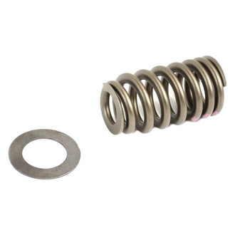 Mopar® - Valve Spring