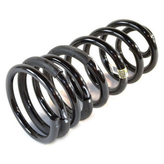 Ram OE - Rear Coil Spring