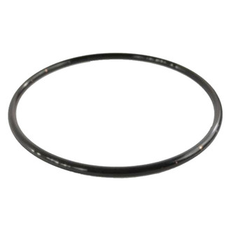 Ram OE - Diesel Exhaust Fluid (DEF) Pump O-Ring