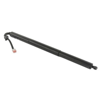 Mopar® - Tailgate Pull Down Motor