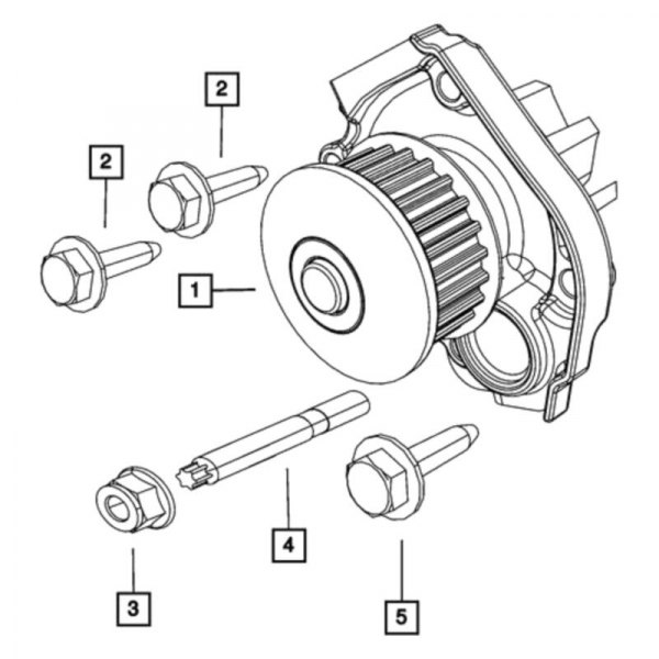 Mopar® - Engine Water Pump Nut