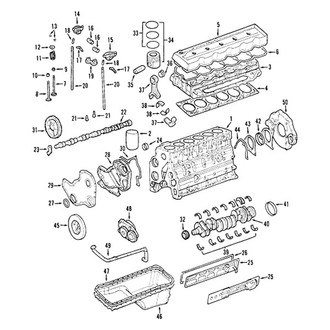 Mopar® - Crankshaft