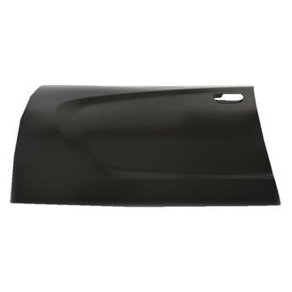 Mopar® - Front Driver Side Door Outer Panel