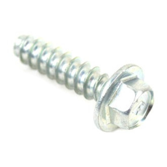 Mopar® - Window Molding Screw