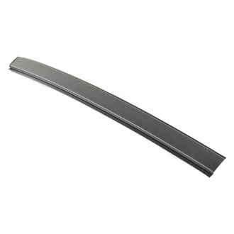 Mopar® - Roof Molding