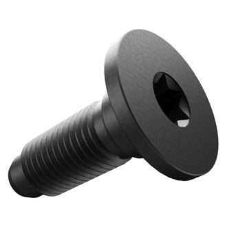 Mopar® - Door Hinge Bolt
