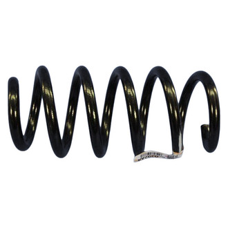 Mopar® - Front Coil Spring