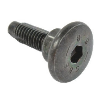 Mopar® - Door Trim Bolt