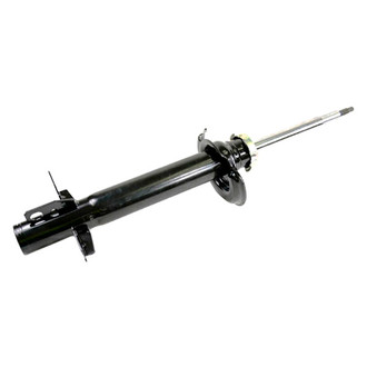 Mopar® - Front Driver or Passenger Side Strut