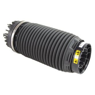 Mopar® - Rear Air Suspension Spring