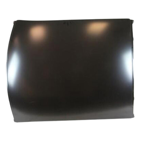 Dodge Challenger Roof Panels | CARiD