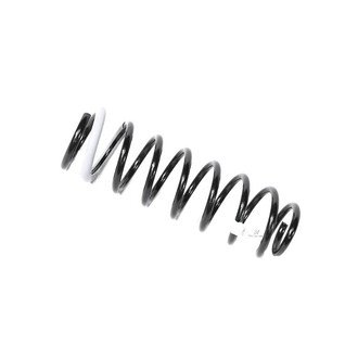 Mopar® - Front Coil Spring