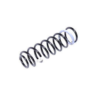 Mopar® - Front Coil Spring