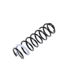 Mopar® - Front Coil Spring